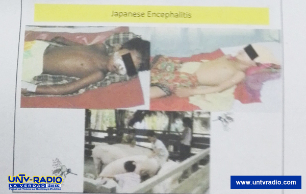 JANICE_Japanese-Encephalitis