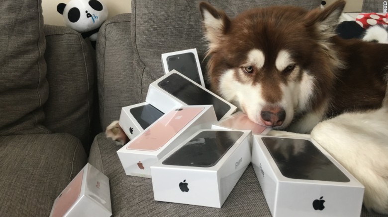 Coco poses with her black and rose gold iPhone 7 handsets(Photo credit: CNN)